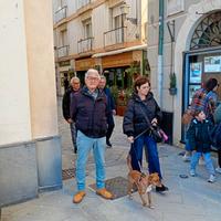 Security è vigilanza