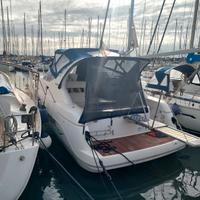 Sessa Oyster 35