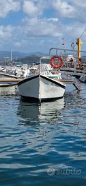 GOZZO LIGURE CON MOTORE ENTROBORDO YANMAR 20CV