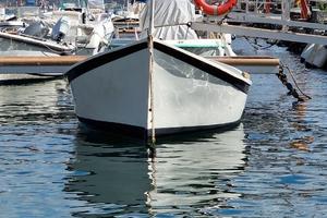 GOZZO LIGURE CON MOTORE ENTROBORDO YANMAR 20CV