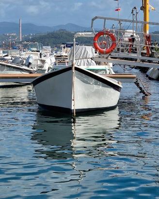 GOZZO LIGURE CON MOTORE ENTROBORDO YANMAR 20CV