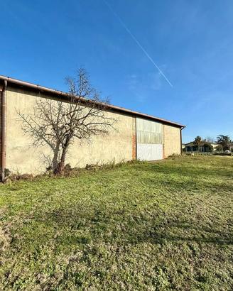 Immobile di 550 m² a Campagna Lupia