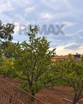 Terreno - Santa Venerina