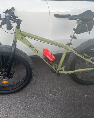 Fat Bike