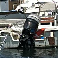 Elan gt family open 5 m