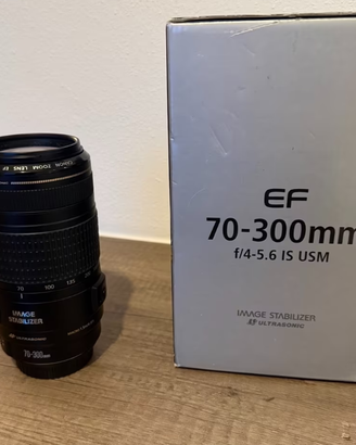 Canon EF 70-300mm f/4-5.6 IS