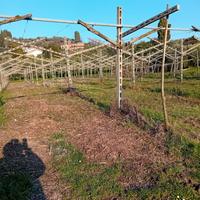 PALI IN CEMENTO CIRCA 500 PEZZI