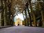 Immagine 26
