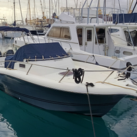 White Shark 268 2022