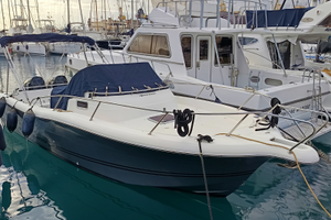 White Shark 268 2022