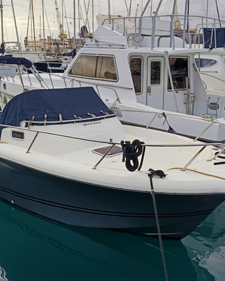 White Shark 268 2022