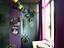 Immagine 13