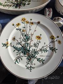 4 piatti Botanica senza radici