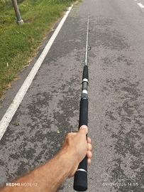 canna spinning Daiwa Saltist