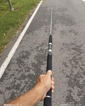 canna spinning Daiwa Saltist
