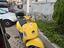 Immagine 3