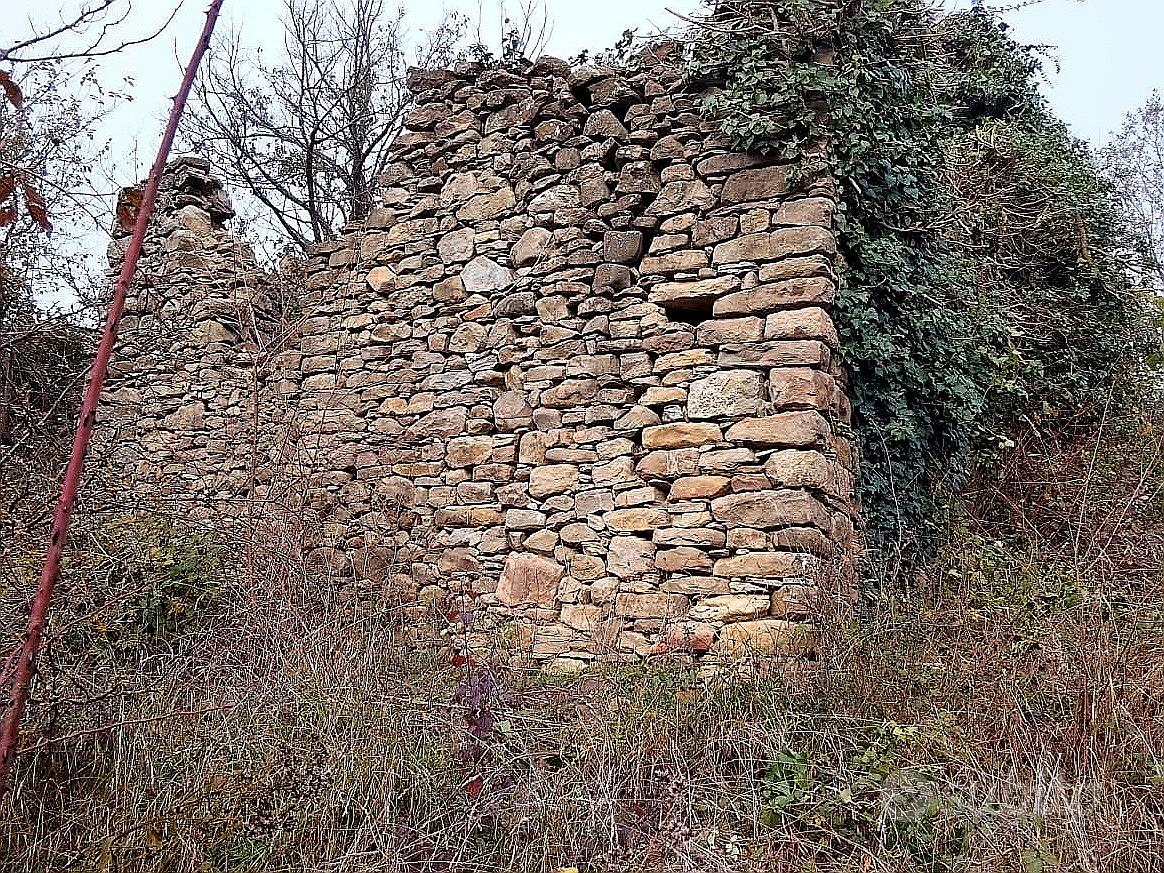 Rustico con 2 ettari coltivati - Vista 2