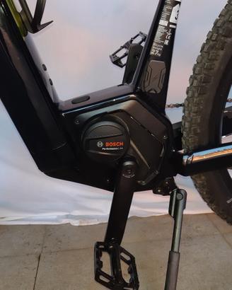Bicicletta elettrica 