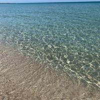 Baia verde casetta ad 80 metri spiaggia