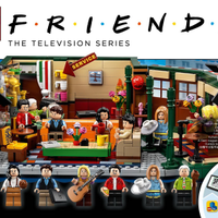 Manuale Istruzioni Lego IDEAS FRIENDS 21319