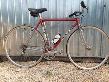 colnago nuovo messico new mexico bici corsa 
