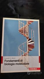 Allison, Fondamenti di biologia molecolare