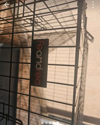 kennel