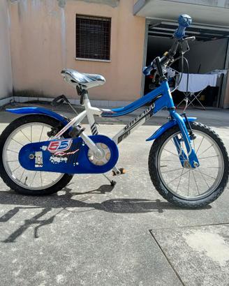 Bicicletta Galletti