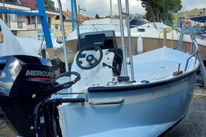 Gozzo VTR 5MT con Mercury 20HP