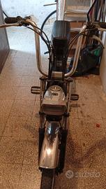 garelli