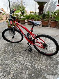 Bici Mountain Bike