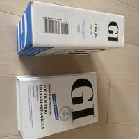 GI Vocabolario di greco dizionario