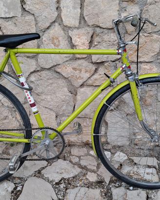 Bicicletta con canna
