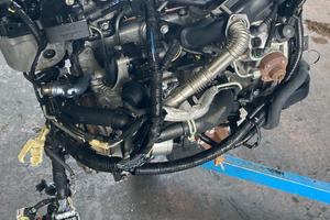 MOTORE Ford Fiesta VI 1.4 51.5kW 70Cv KVJA 2012