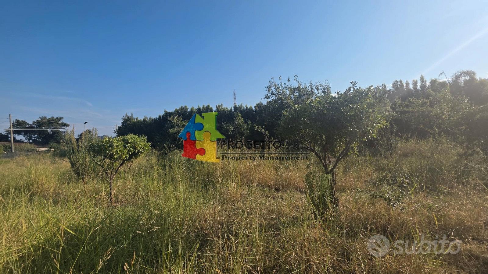 Gaggi: splendido agrumeto pianeggiante di 2.700 mq - Vista 3
