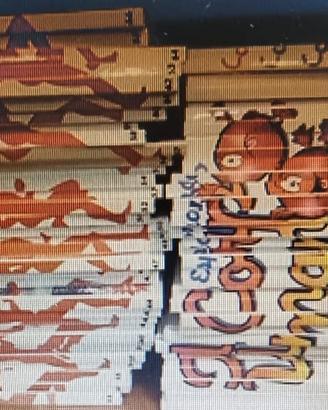 Esplorando il corpo umano 66 volumi ,libri