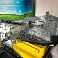 Gabbia piccoli animali