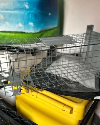 Gabbia piccoli animali