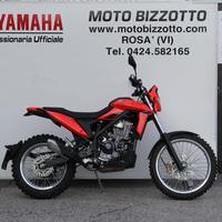 Beta Alp 4.0 - 2024