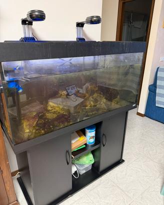 Acquario