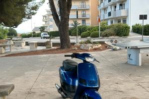 ZIP FAST RIDER