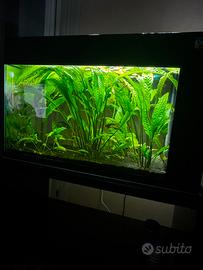 Acquario completo