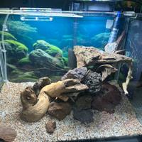 Consulenza  acquario