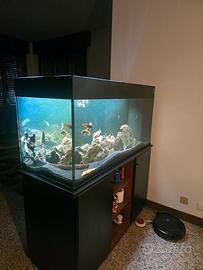 acquario 300 litri 