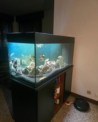 acquario 300 litri 