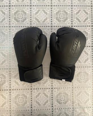 Guantoni da Boxe Flintronic
