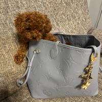 Barboncino tea cup PER MONTA