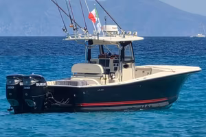 AL CUSTOM 30