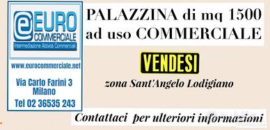 214/17 PALAZZINA in zona Sant'Angelo Lodigiano