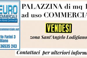 214/17 PALAZZINA in zona Sant'Angelo Lodigiano
